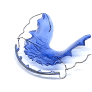 選ばれる理由5 写真